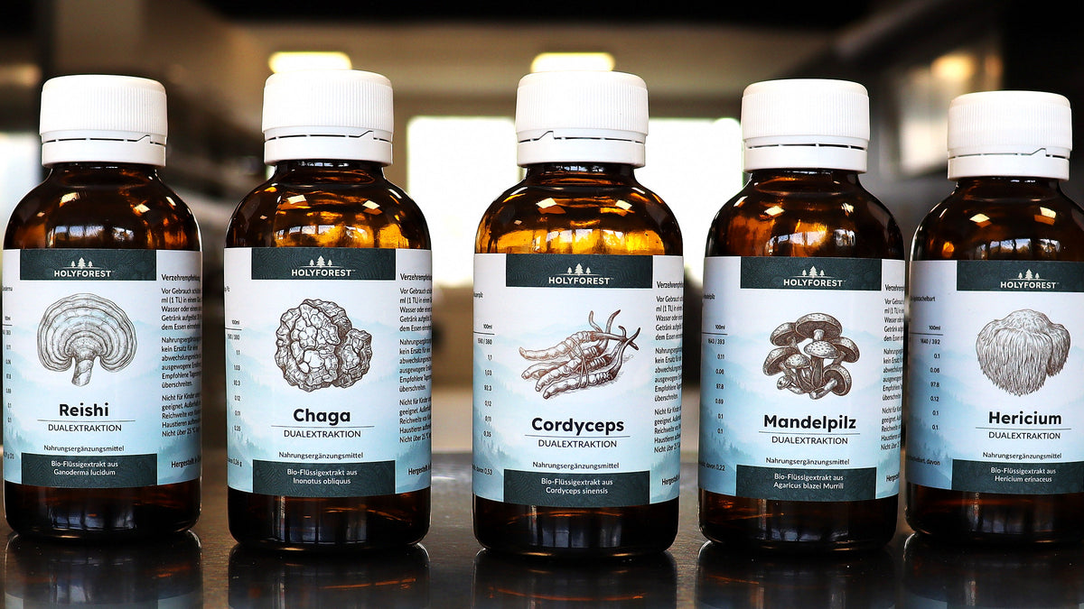 Fünf Bio-Vitalpilz-Flüssigextrakte nebeneinander: Reishi, Chaga, Cordyceps, Mandelpilz und Hericium