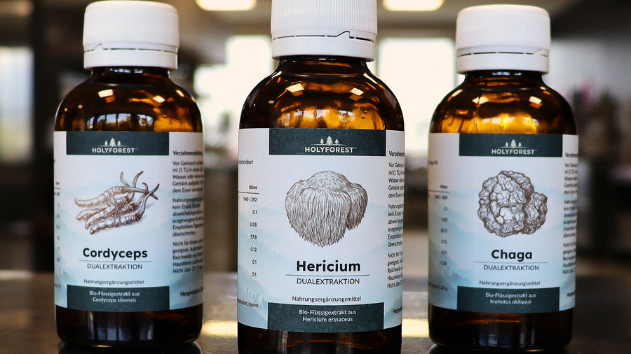 Drei Bio-Vitalpilz-Flüssigextrakte nebeneinander: Cordyceps, Hericium und Chaga
