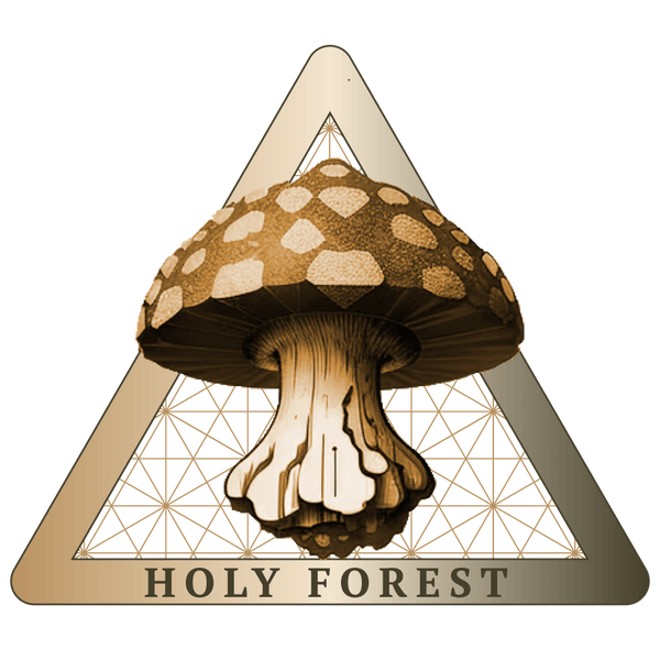 Holy Forest Vitalpilze