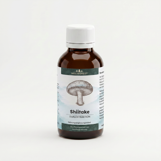 Bio Shiitake Flüssigextrakt Dualextraktion – Holyforest