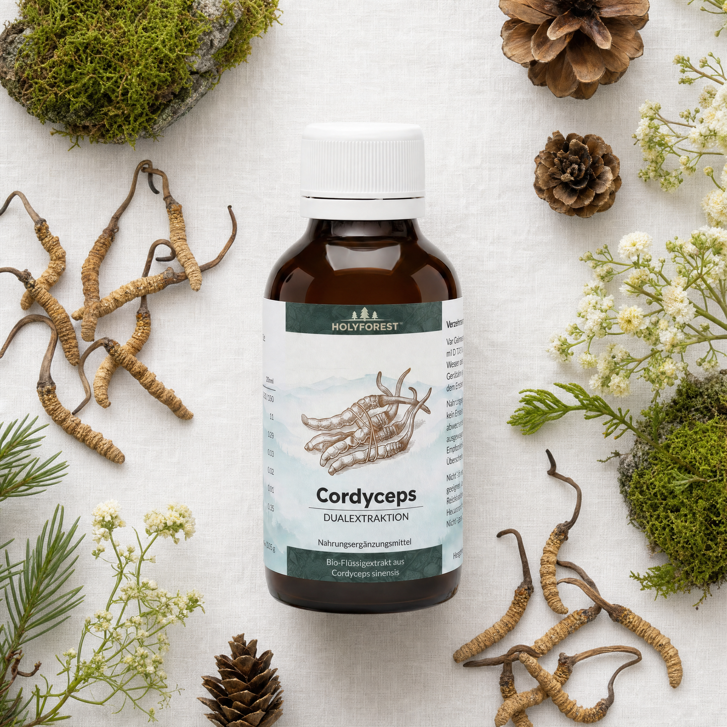 Cordyceps Flat Lay