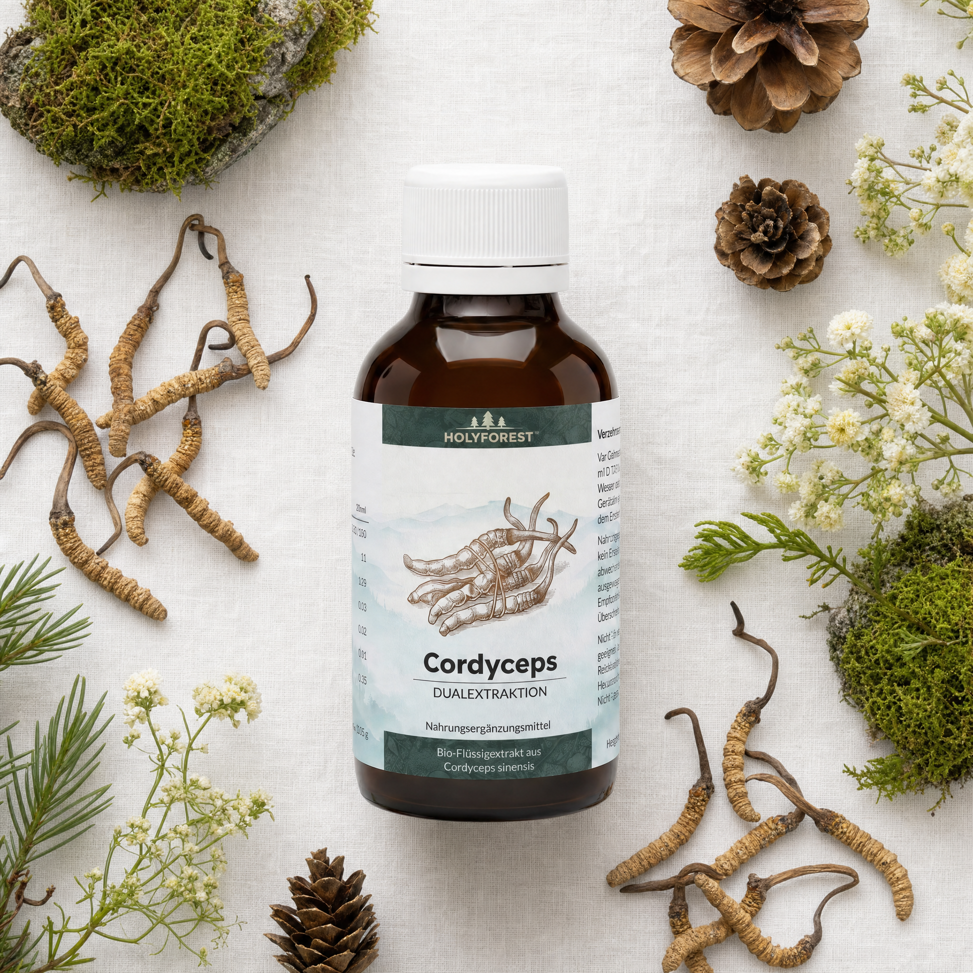 Cordyceps Flat Lay