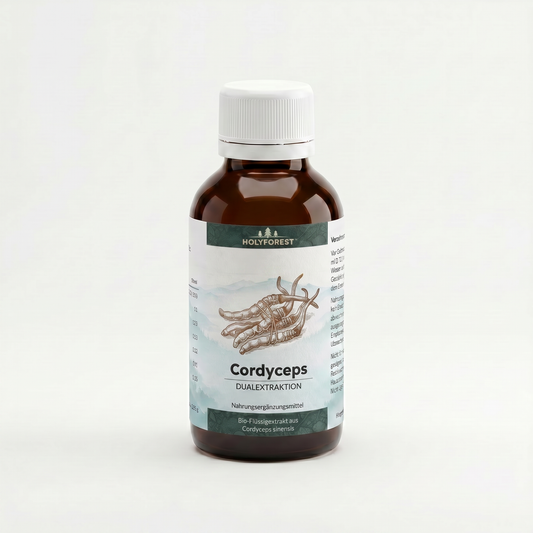 Bio Cordyceps Flüssigextrakt Dualextraktion – Holyforest