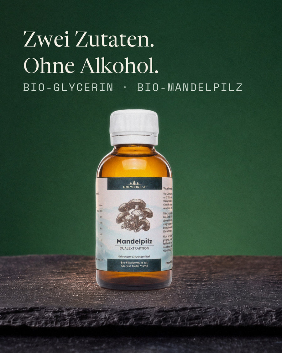 Bio Mandelpilz, 100 ml Braunglasflasche auf Schiefer. Zwei Zutaten, ohne Alkohol.