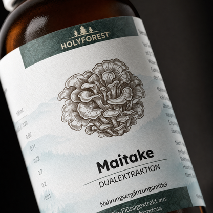 Maitake Closeup