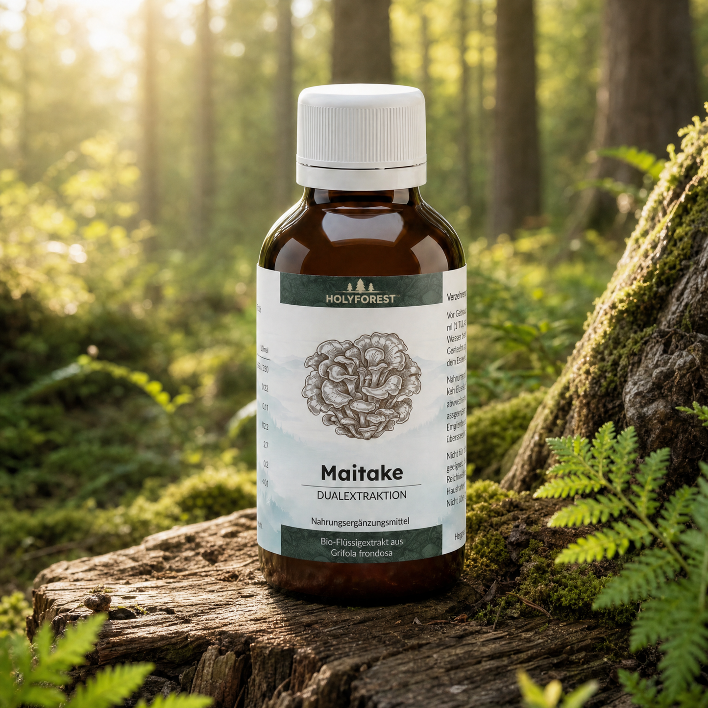 Maitake Lifestyle
