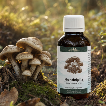 Mandelpilz Ingredient