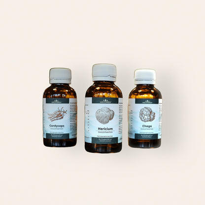 Power Bundle – die drei enthaltenen Extrakte