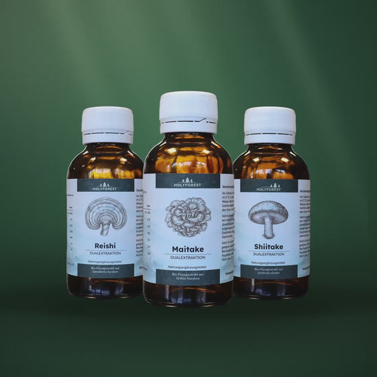 Resilience Bundle – die drei Extrakte im Waldlicht