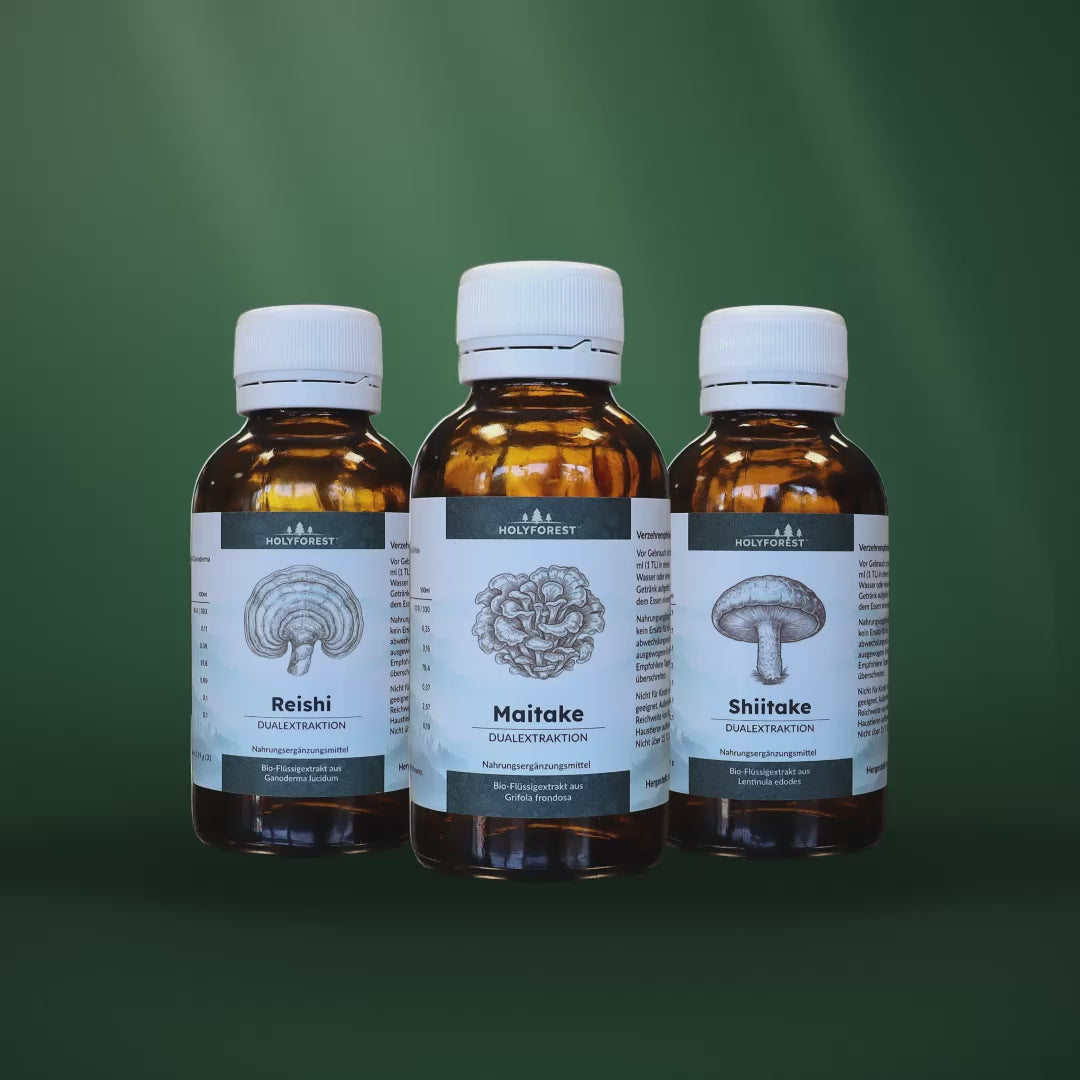 Resilience Bundle – die drei Extrakte im Waldlicht