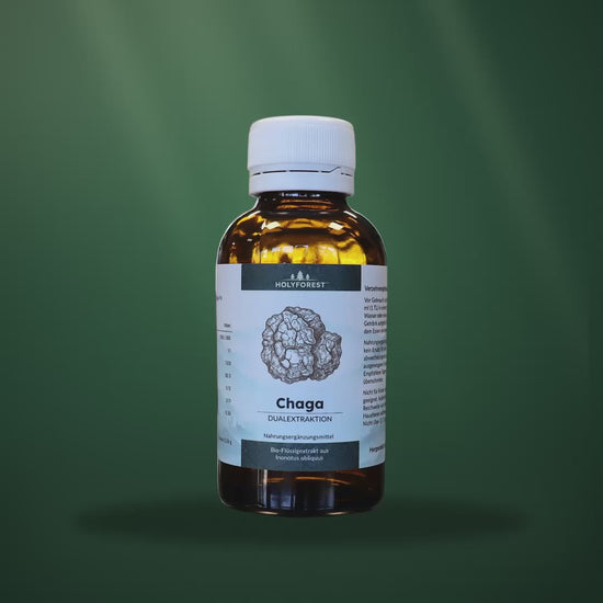 Bio Chaga – Glasflasche im Waldlicht