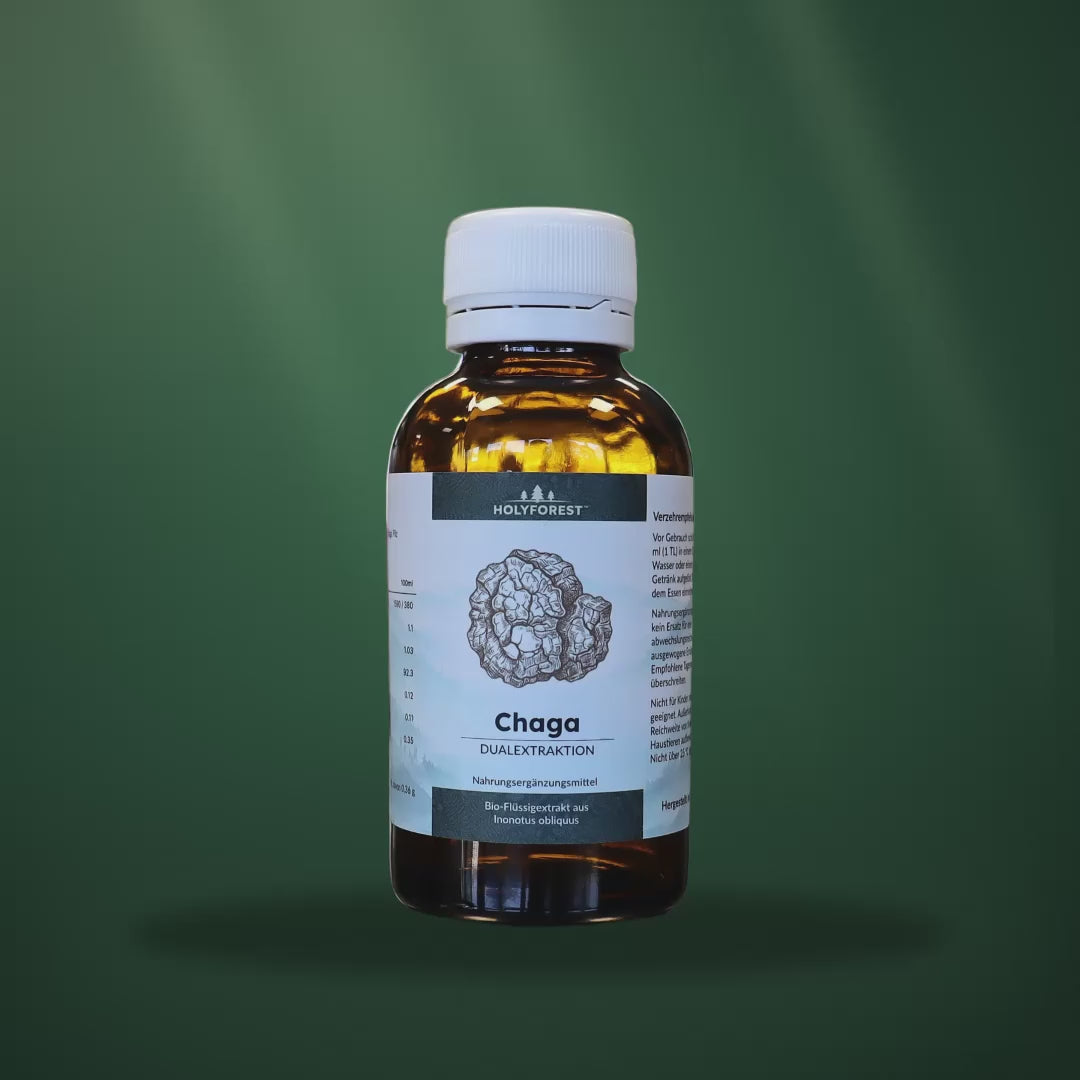 Bio Chaga – Glasflasche im Waldlicht