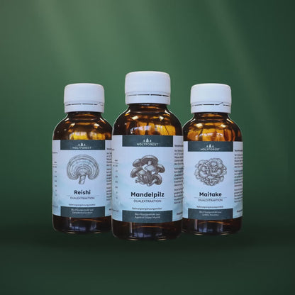 Recovery Bundle – die drei Extrakte im Waldlicht