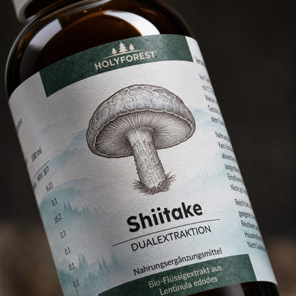 Shiitake Closeup