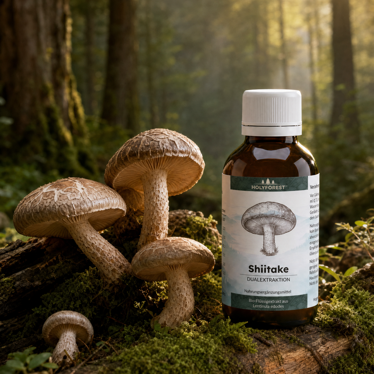 Shiitake Ingredient